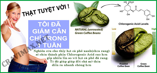 tác hại của green coffee